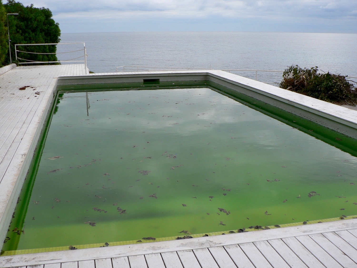 swimming pool green water